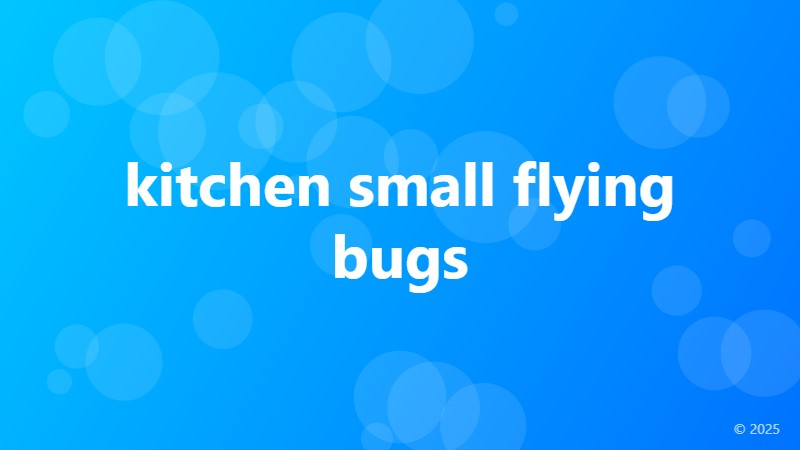 kitchen small flying bugs