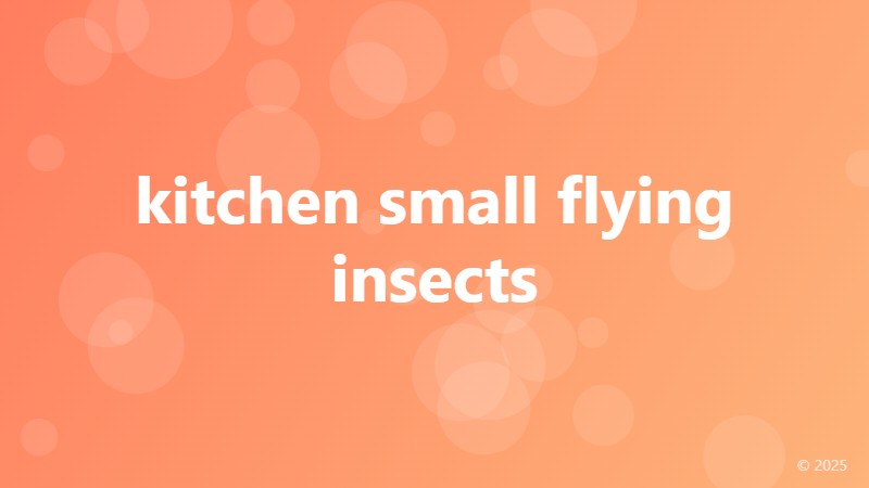 kitchen small flying insects